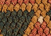Sampler 1972-369