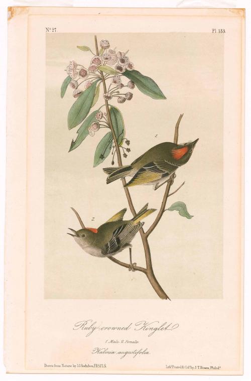 Print 2018-269,26