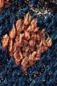 Bed Rug 1980-158