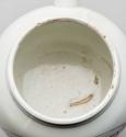 Wet Drug Jar 1947-206