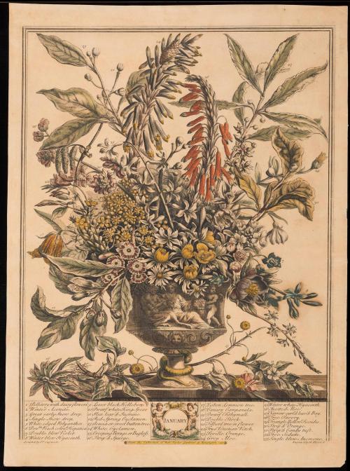 Print 1940-384