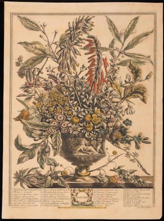 Print 1940-384