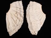 1984-60,1&2, Sleeve ruffles