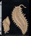 2002-22,82-83, Pattern