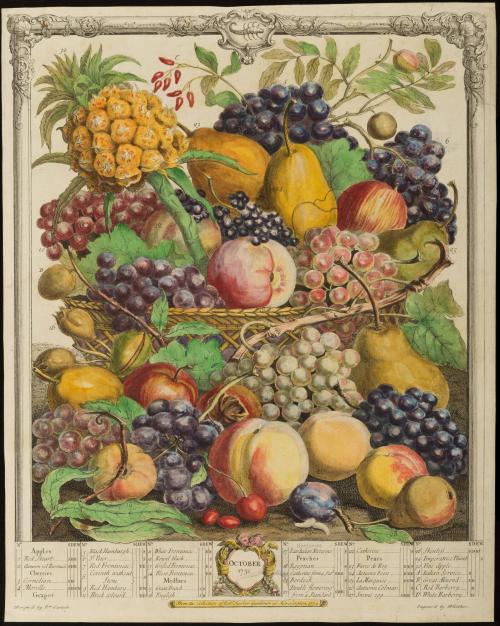 1956-134, Print