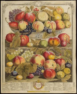 1956-133, Print