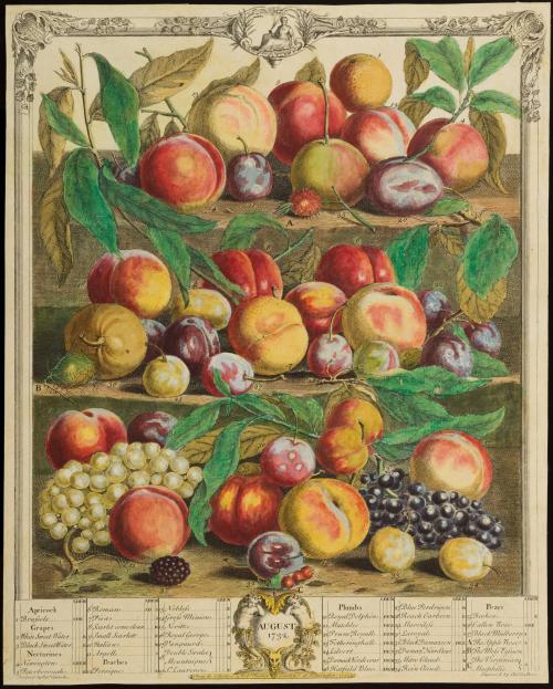 1956-132, Print