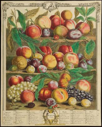 1956-132, Print