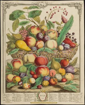 1956-131, Print