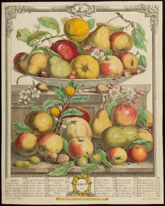 1956-127, Print