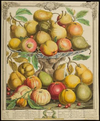 1956-126, Print