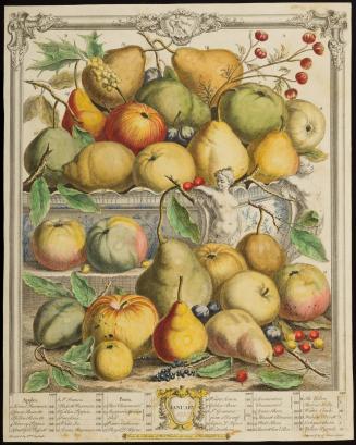 1956-125, Print