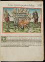 2017-194,1, Book-XIIII. (14) The Wooden Frame on Which They Roast Fish