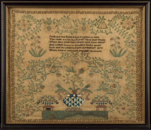 2020-81, Sampler