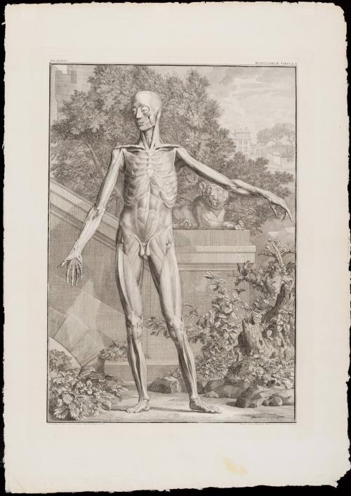 1984-37,1, Print