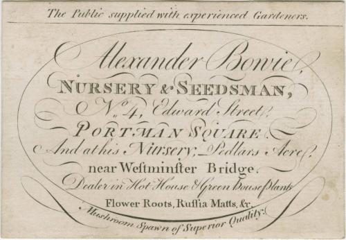 1975-211, Trade Card