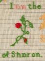 2021.608.1, Sampler
