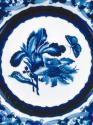 1992-21, Plate