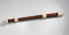 1985-113, Recorder