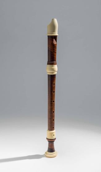 1985-113, Recorder