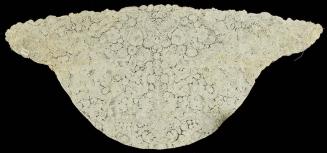 1953-866, Cap
