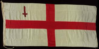 2020-33, Flag
