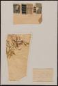 2016-108,1-8, Textile Documents