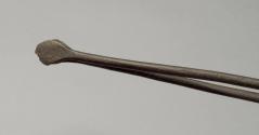 2020-319, Tongs