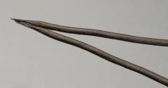2020-319, Tongs