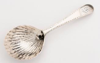 2020-313, Spoon
