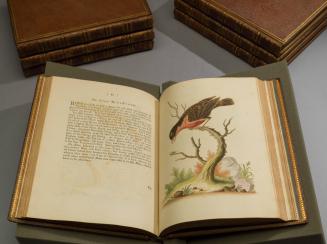 2023-17,2, Book
