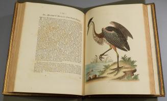 2023-17,3, Book