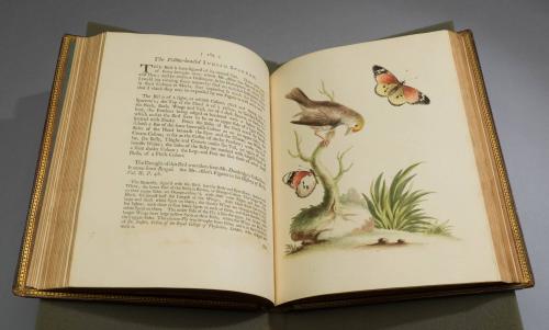 2023-17,4, Book