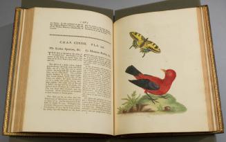 2023-17,7, Book