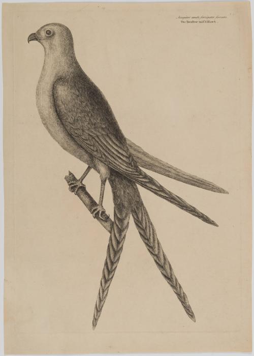 2022-165,1, Print
