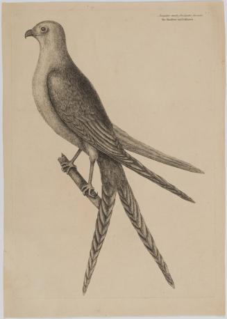 2022-165,1, Print