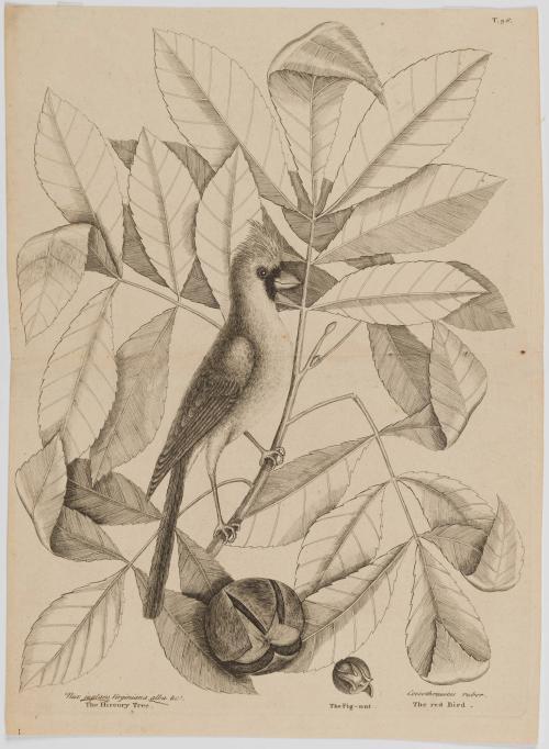2022-165,2, Print