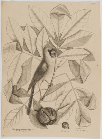 2022-165,2, Print