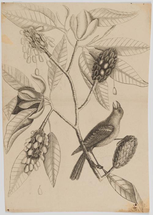 2022-165,3, Print