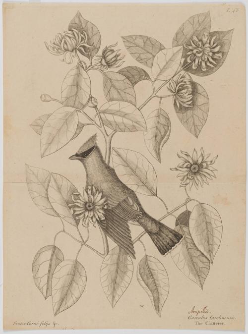 2022-165,4, Print