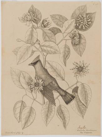 2022-165,4, Print