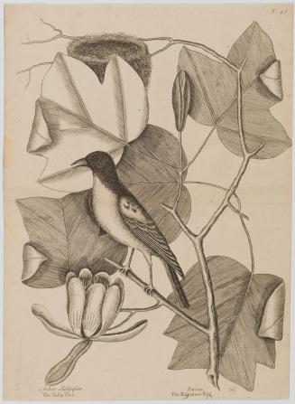 2022-165,5, Print