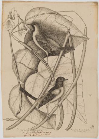 2022-165,6, Print
