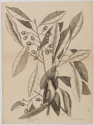 2022-165,7, Print