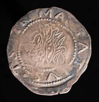 2004-8,3, Coin