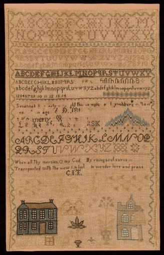 1987-687, Sampler
