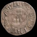 2004-8,5, Coin