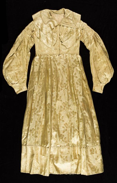 2023-175, Pelisse