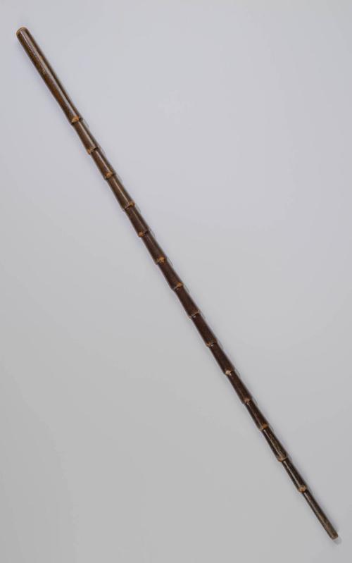 1932-124, Walking Stick