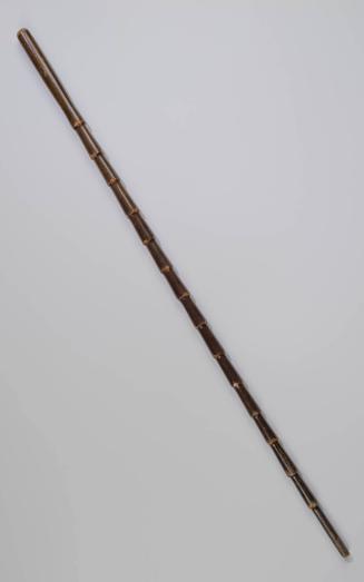1932-124, Walking Stick